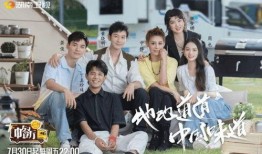 中餐厅宁静爆料视频,独家爆料幕后故事